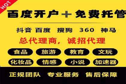 某行业领先企业背后的百度推广代理商策略